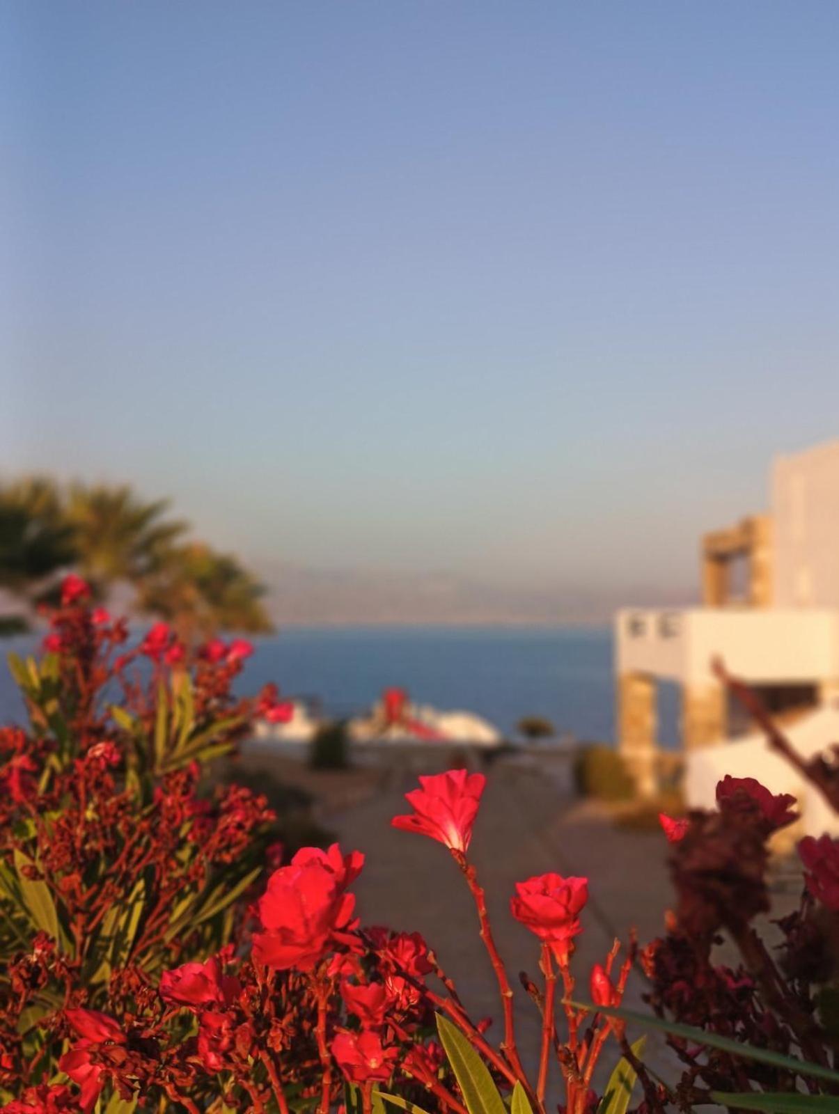 דירות לוגאראס Aura Paros מראה חיצוני תמונה